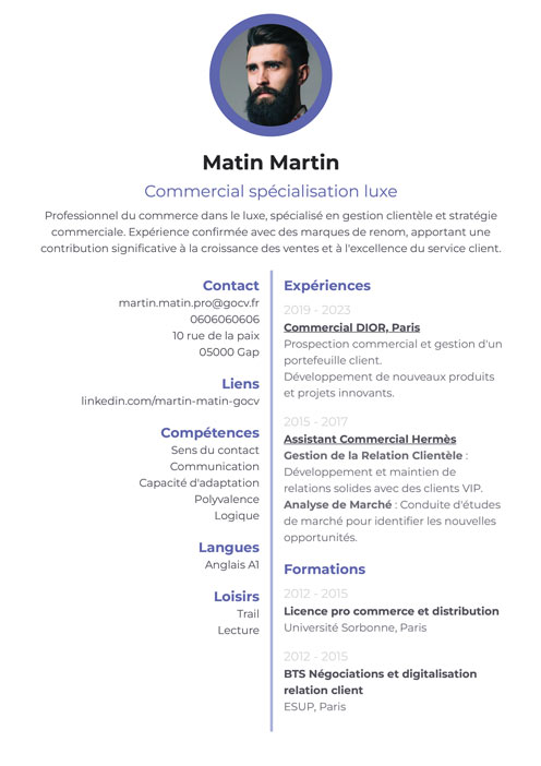 exemple de template de CV GoCV